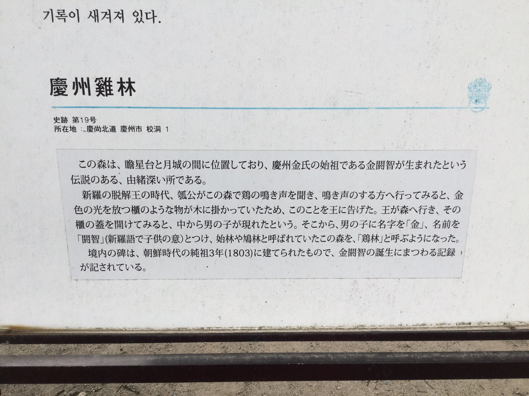 Gyerim Forest-庆州市必去景点