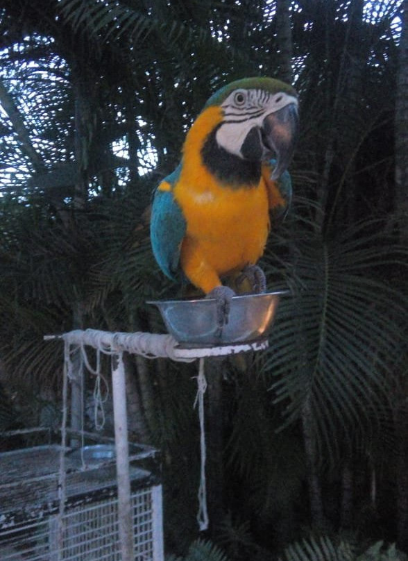 Gran Hotel Las Fuentes主图