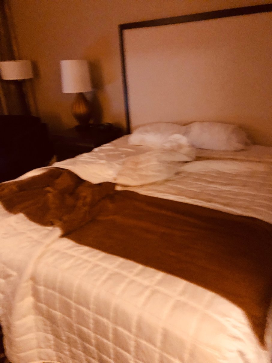 Zia Park Casino Hotel Racetrack-官方