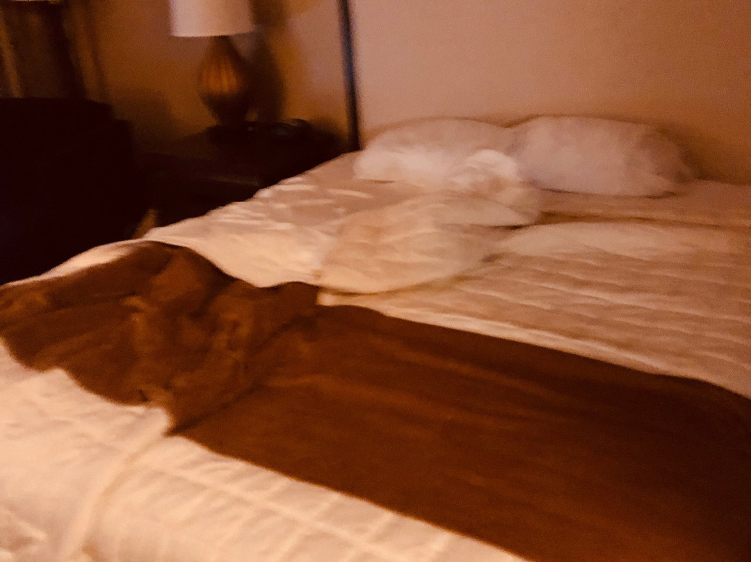 Zia Park Casino Hotel Racetrack主图