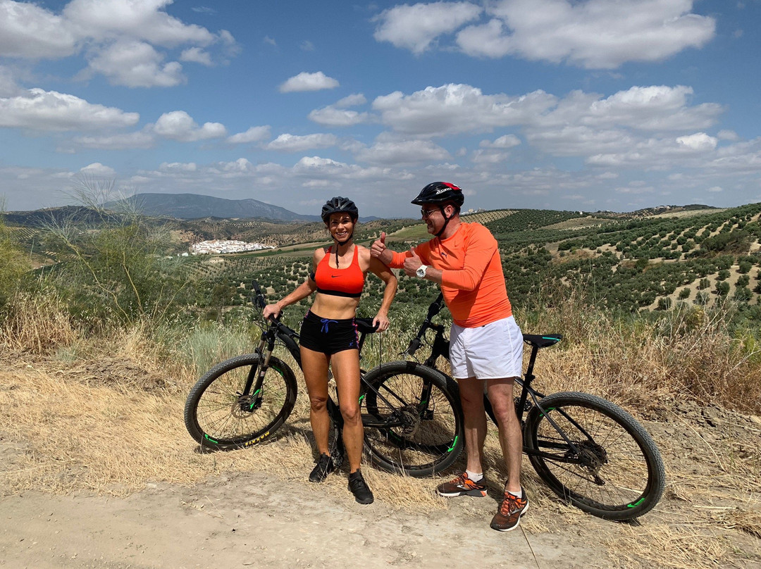 Hike + Bike The Sierras景点图片