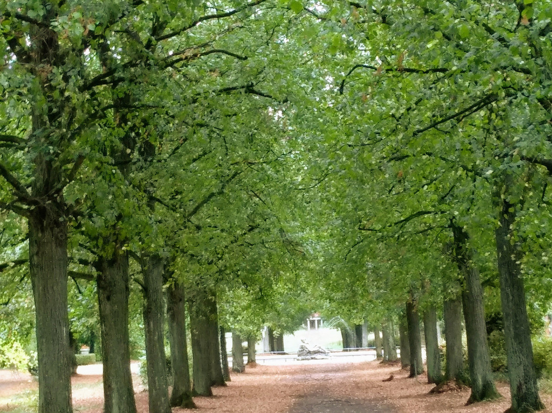 Schlosspark Schwanberg景点图片