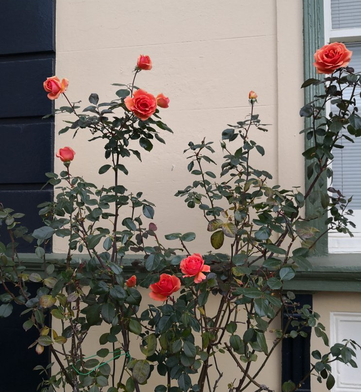 The Bank Guesthouse Glen Innes主图