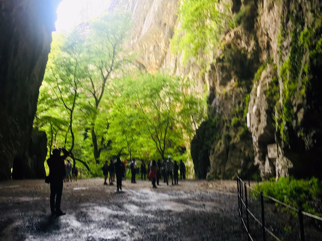 Križna Jama Cave景点图片