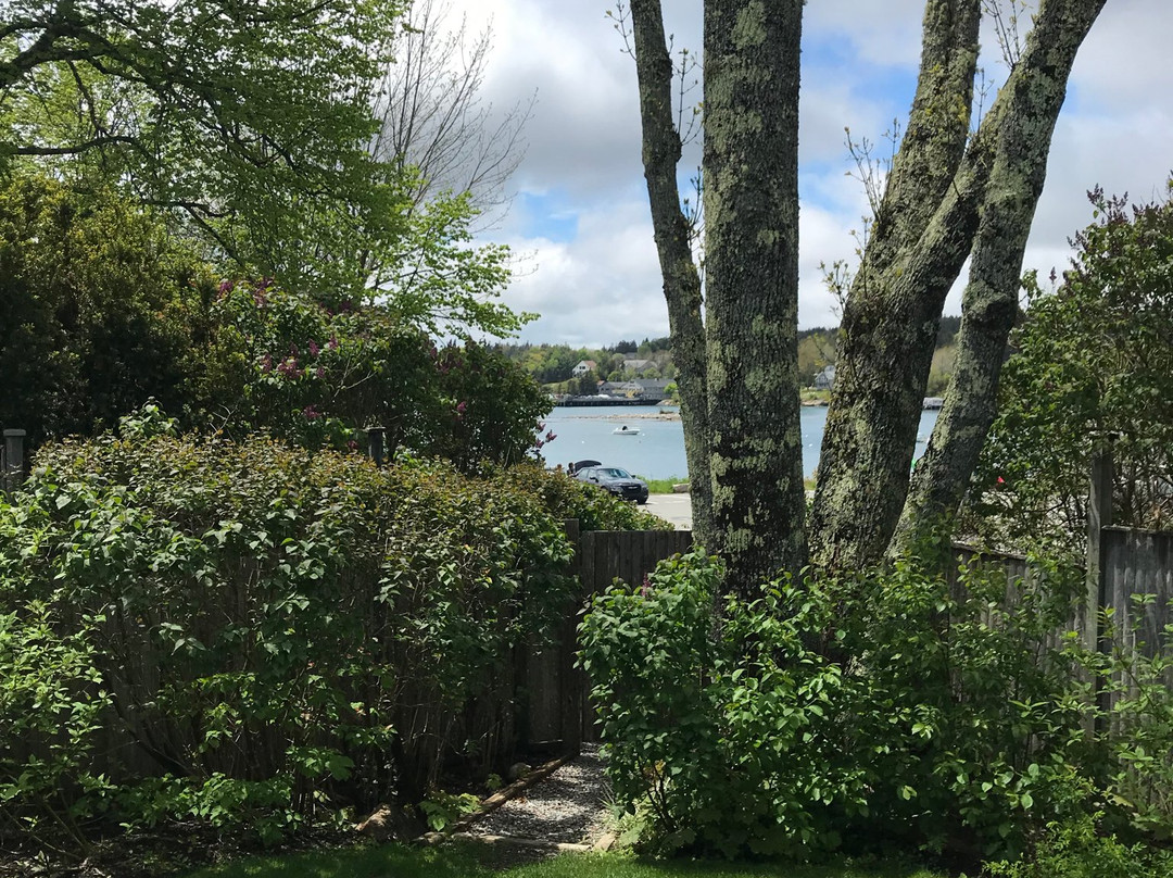 Lindenwood Inn主图