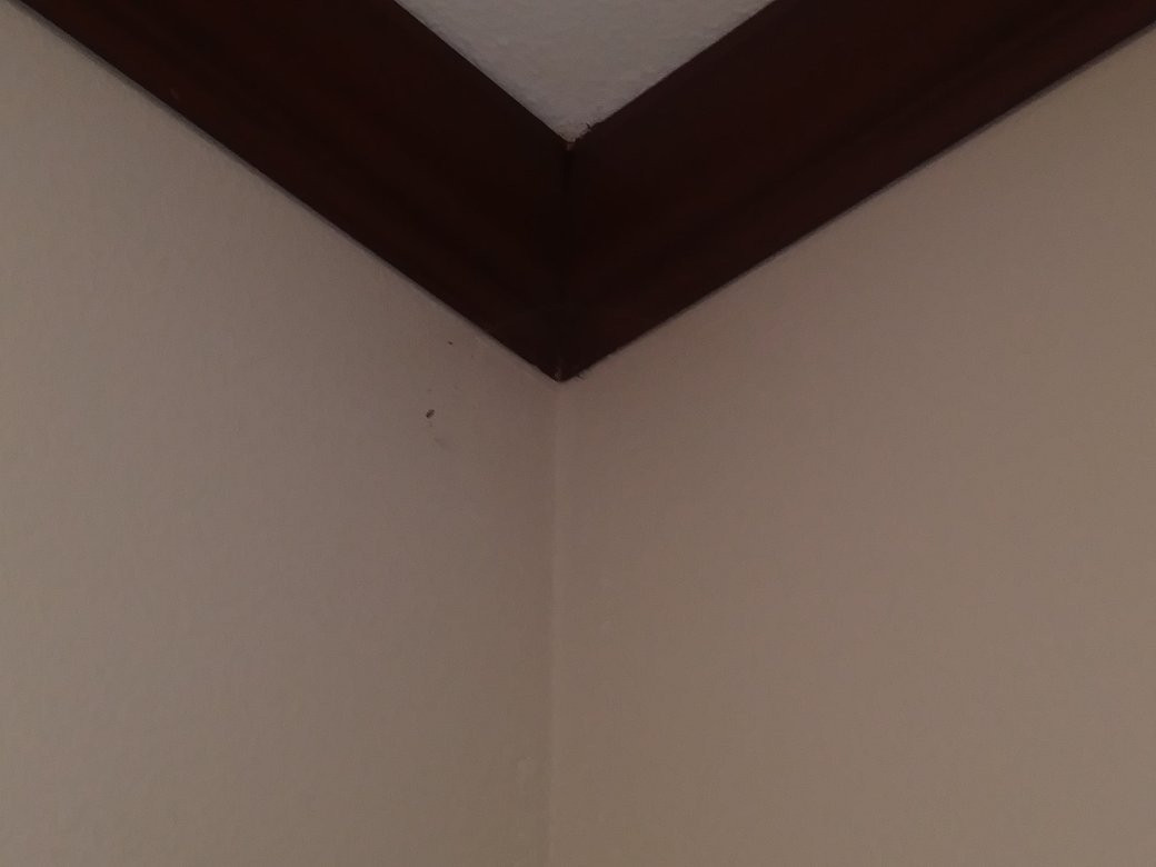 Best Western Refugio Inn主图