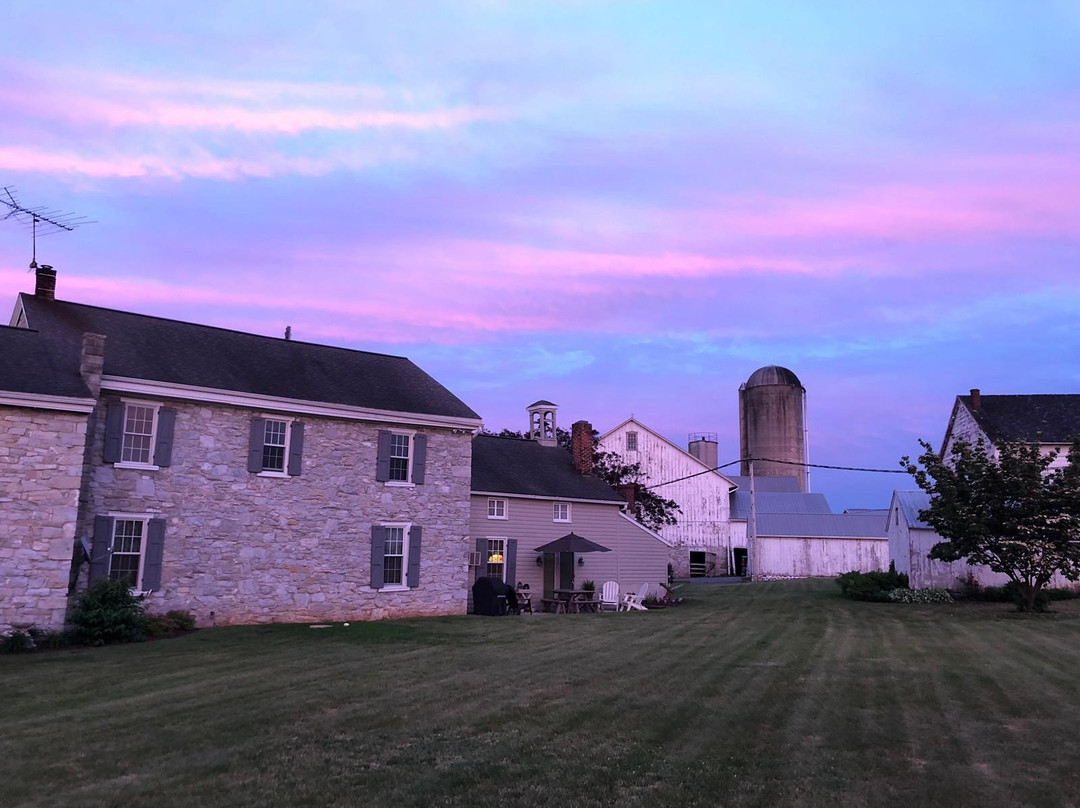 Meadow View K Farm Guest House主图