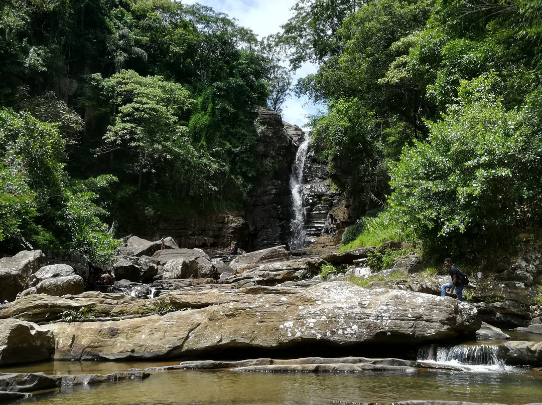 Kadiyanlena Falls景点图片