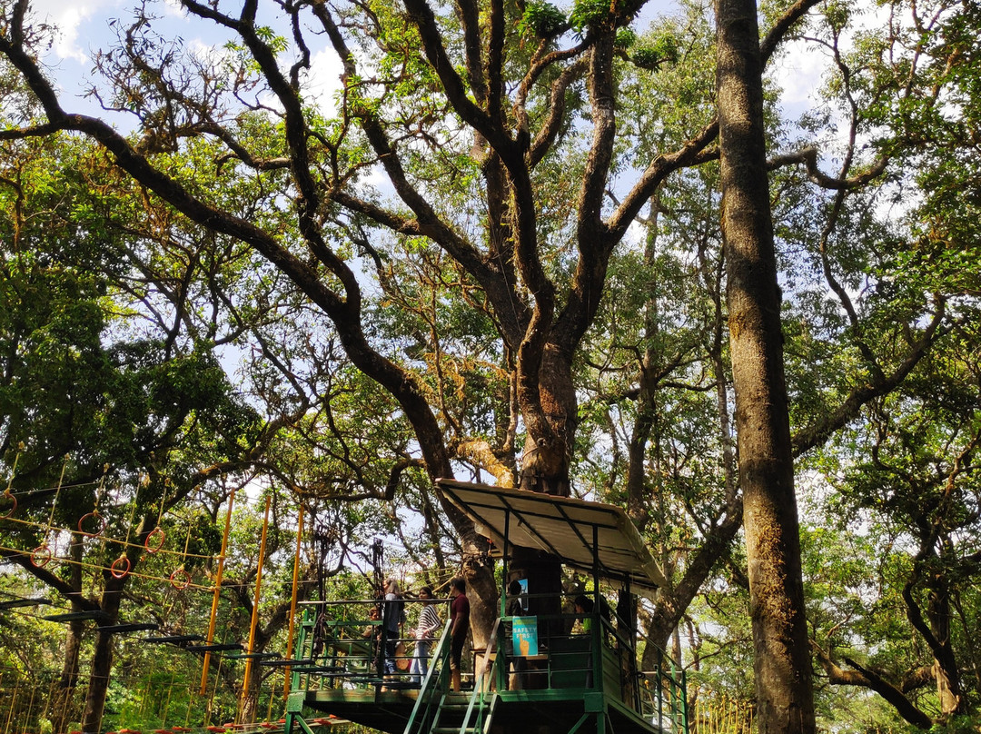 Club Mahindra Madikeri, Coorg主图