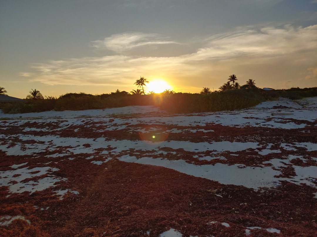 Point of Sand-Little Cayman必去景点