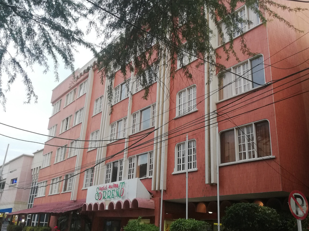Hotel Sorrento - Santa Marta主图