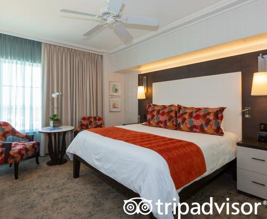 棕榈树Spa酒店主图