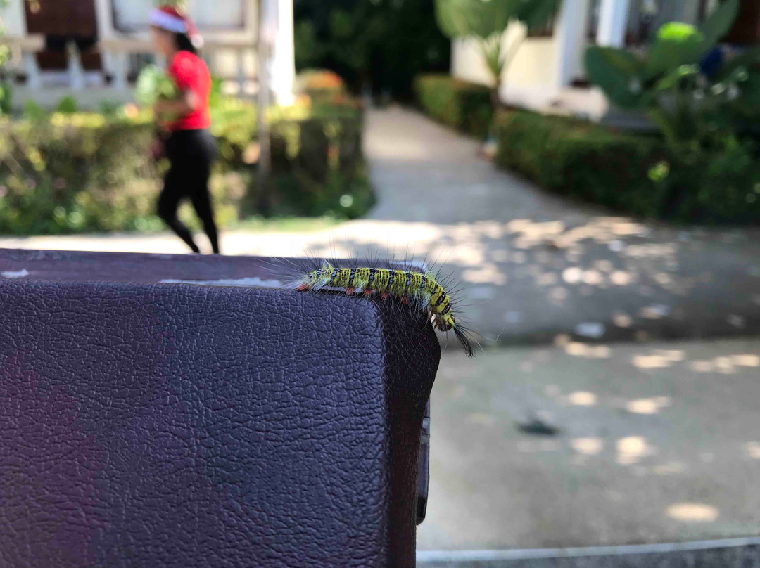 阿曼达度假村和Spa水疗中心主图