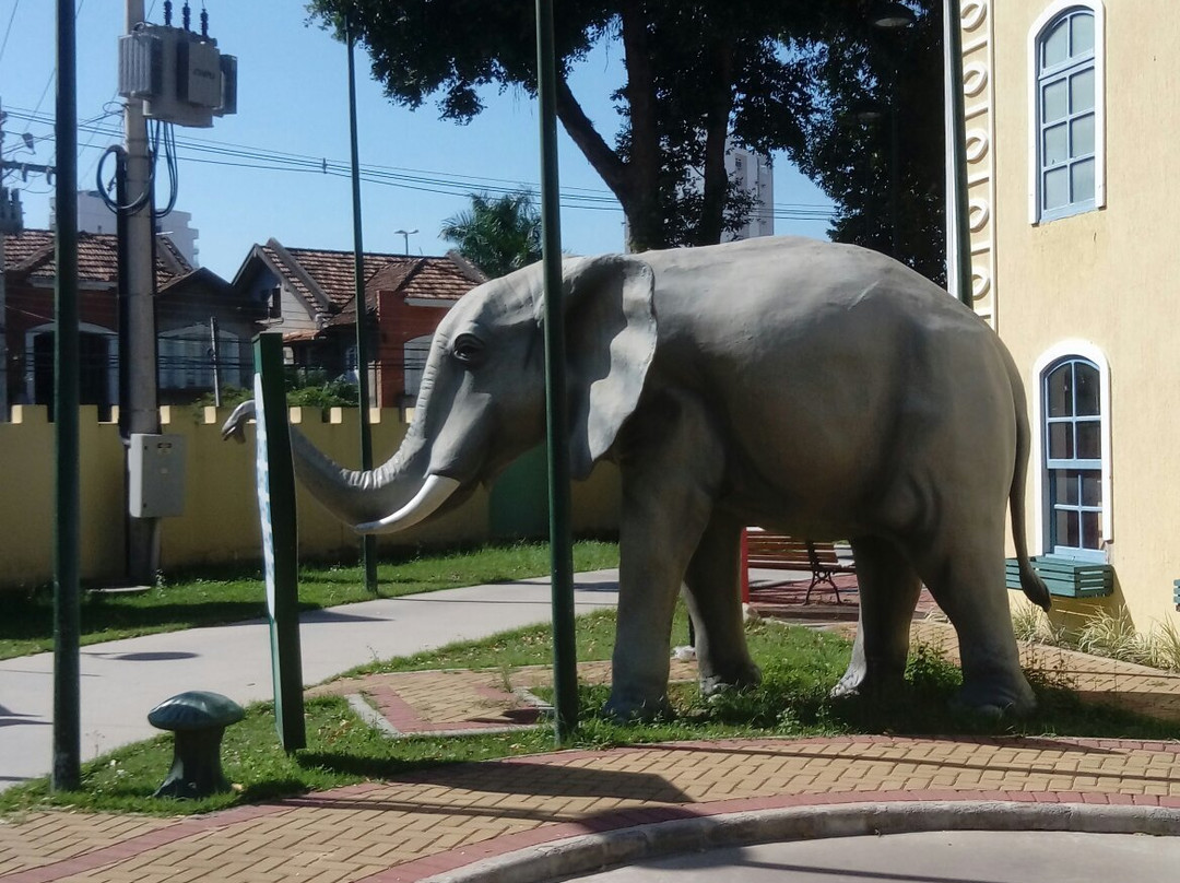 Cidade da Crianca-Campos dos Goytacazes必去景点