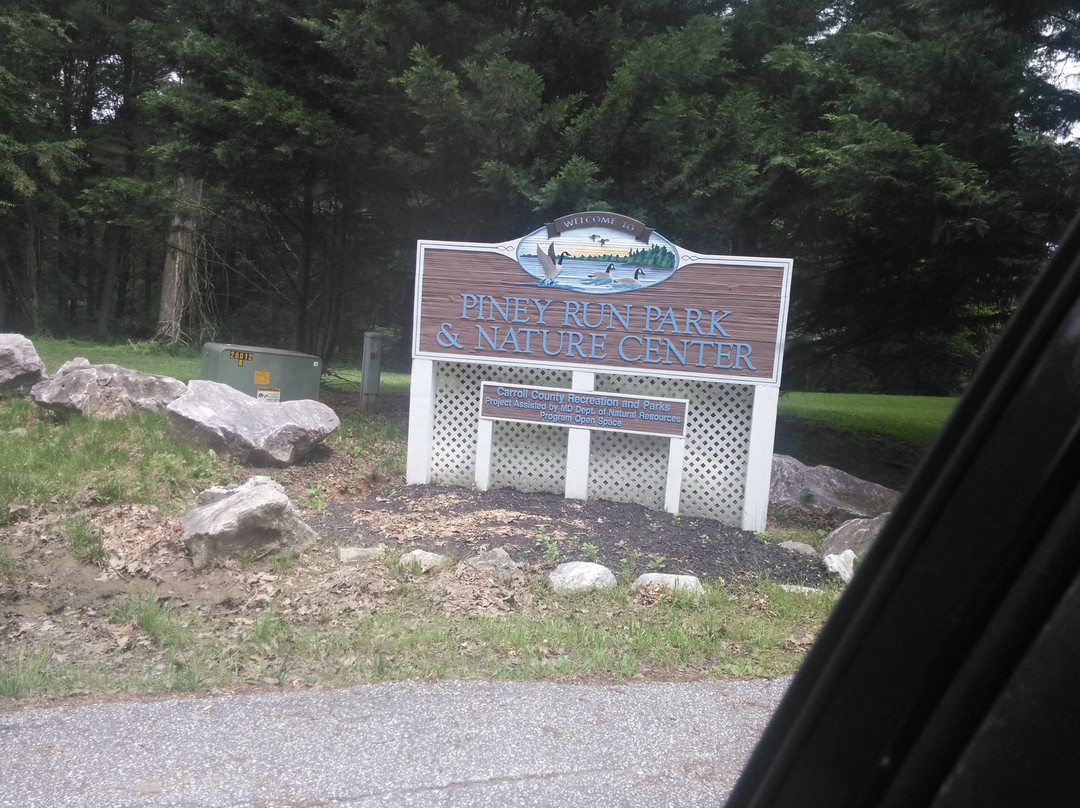 Piney Run Park景点图片
