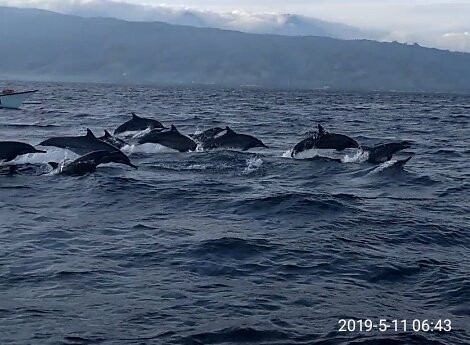 Asiana Lovina Hotel主图