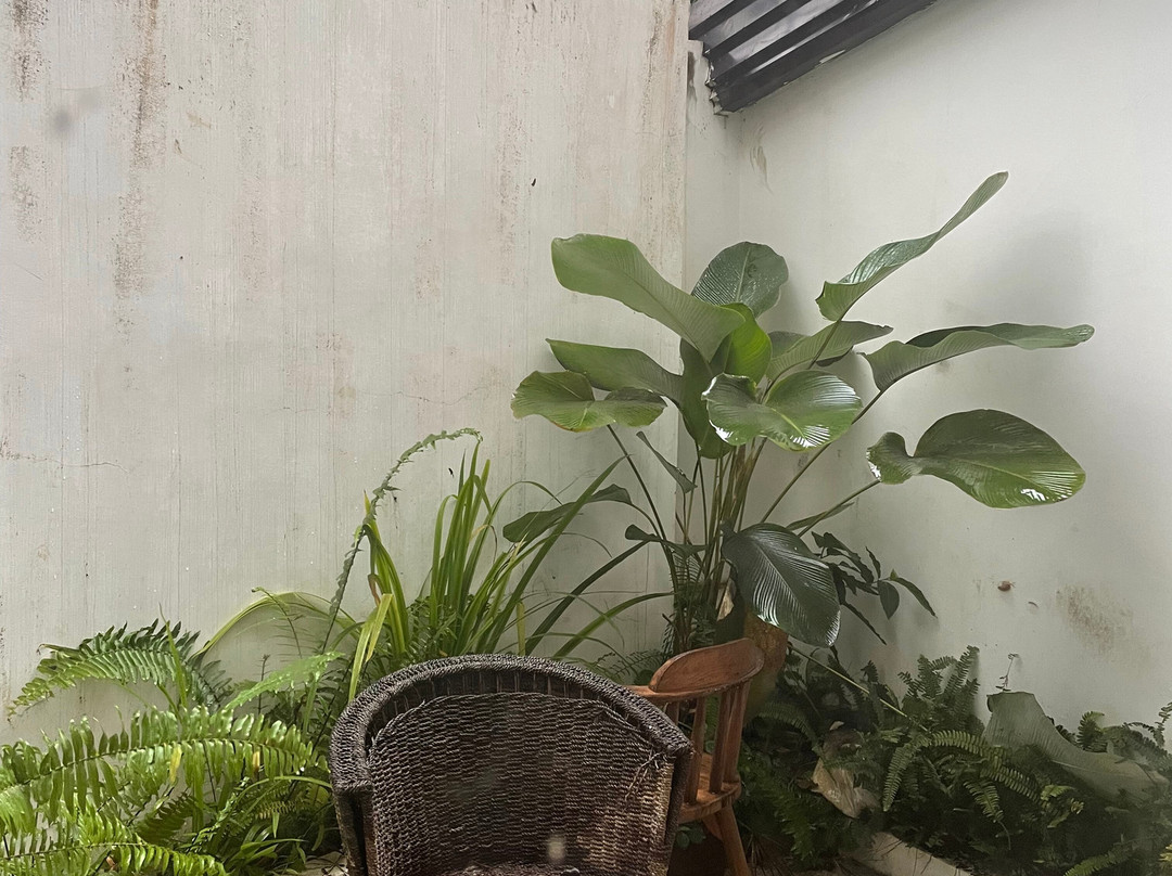 Baliraya