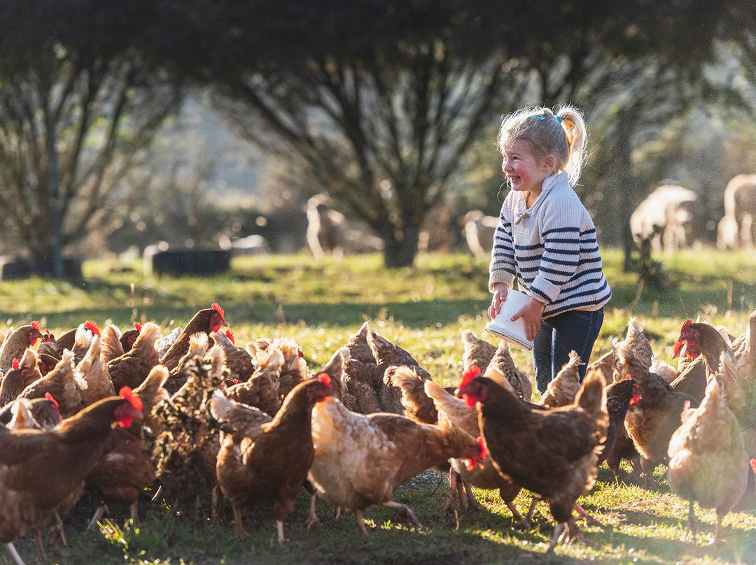 Guide Falls Farm-West Ridgley必去景点
