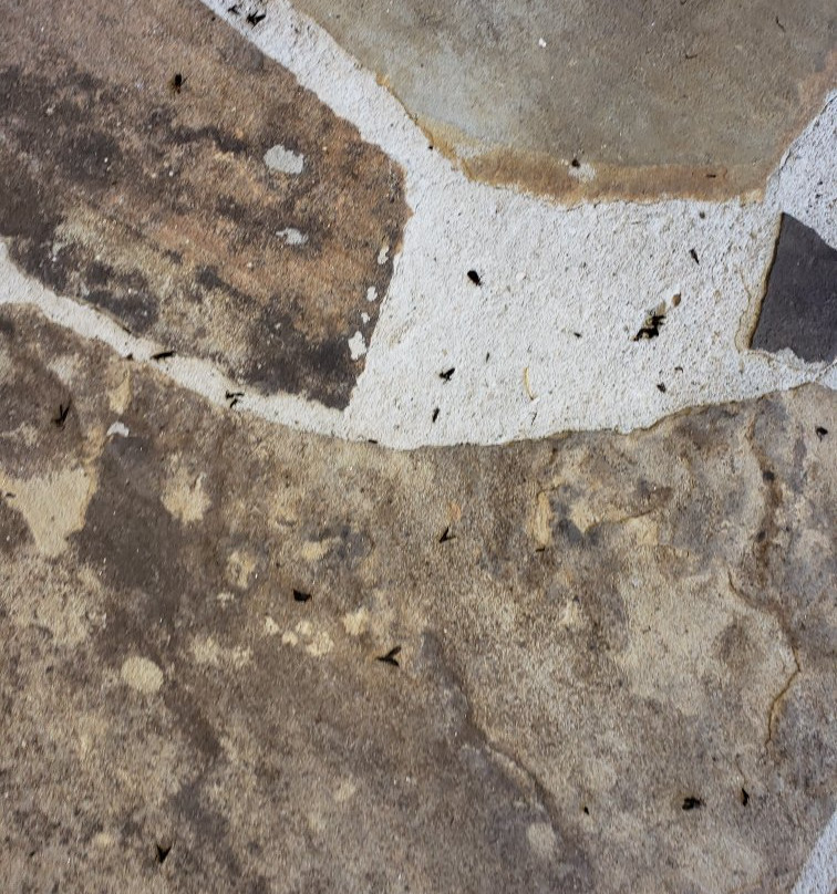 Westgate River Ranch Resort-莱克威尔士必去景点