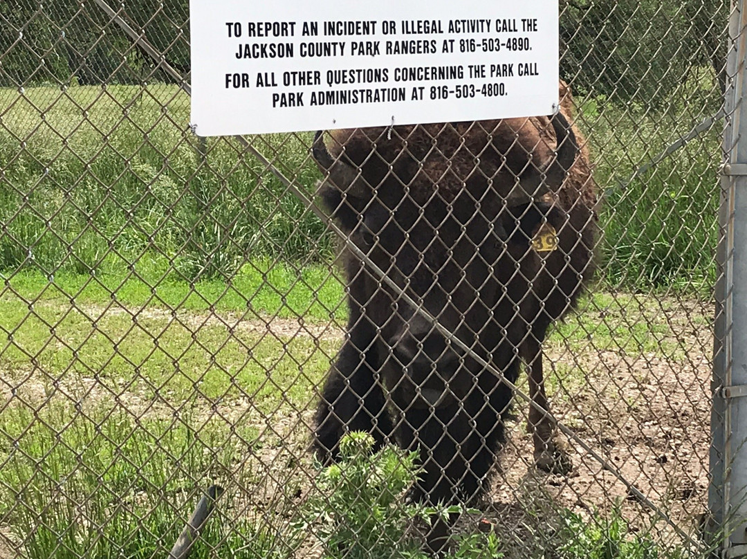 Fleming Park-Independence必去景点