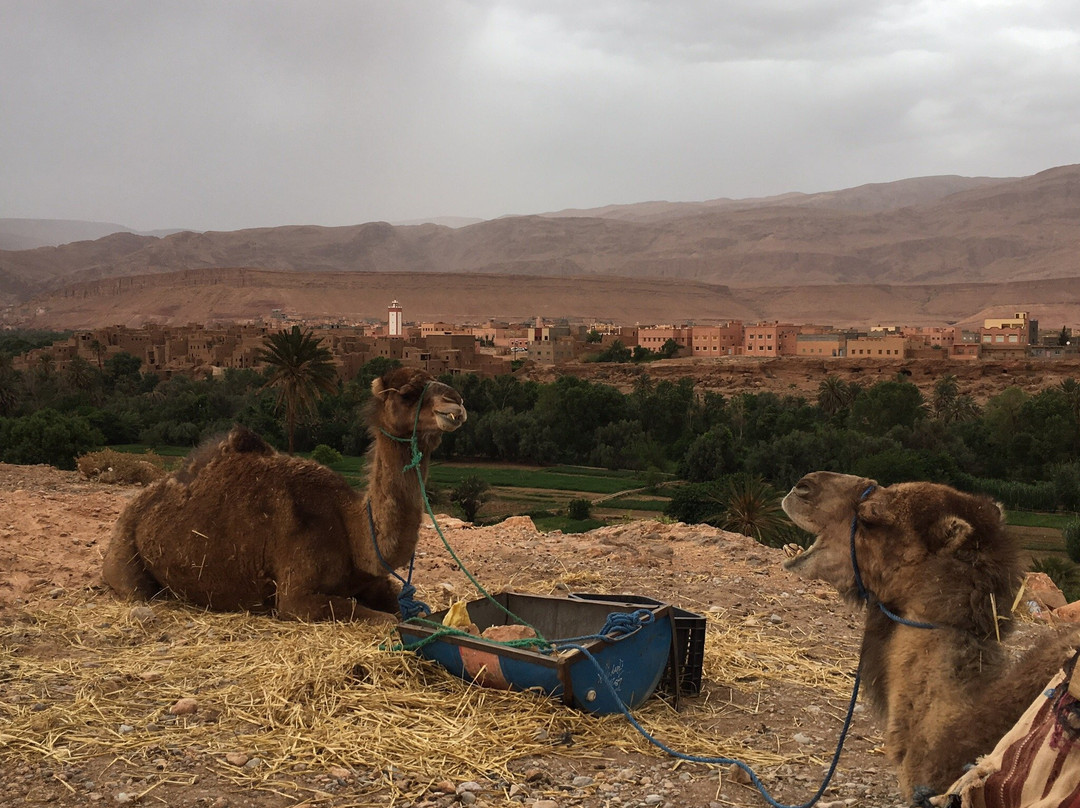 Marocco Trips景点图片