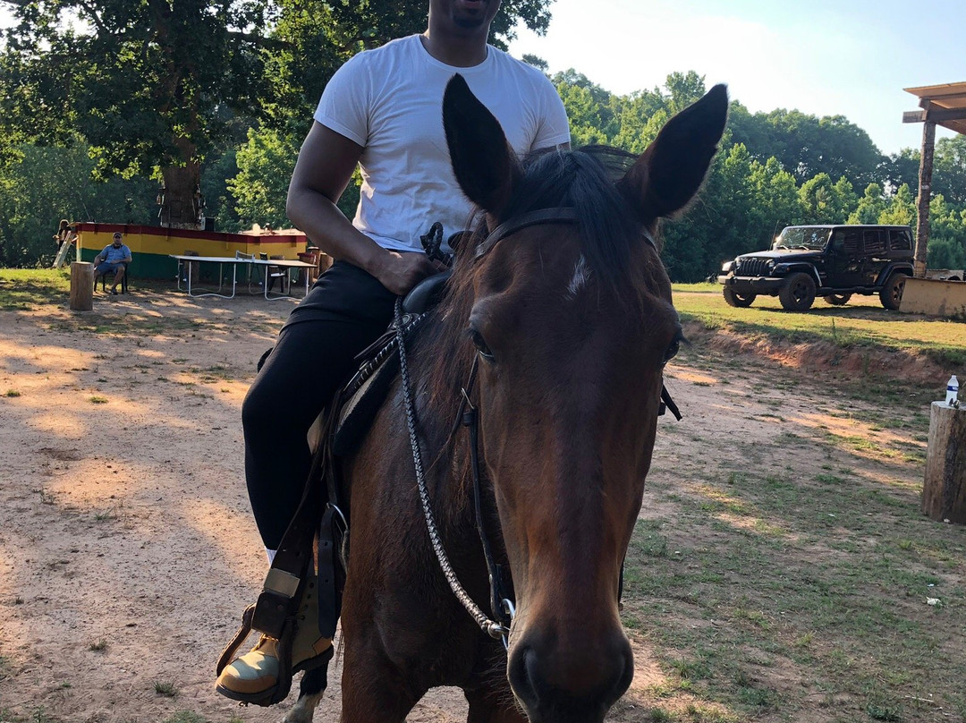 Pure Horse Play-Griffin必去景点