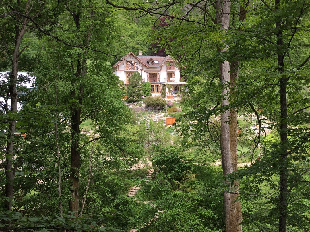 Jardin Botanique de Neuchatel景点图片