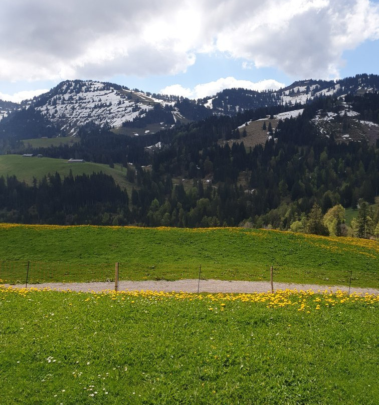 Berggasthof Hochbühl主图