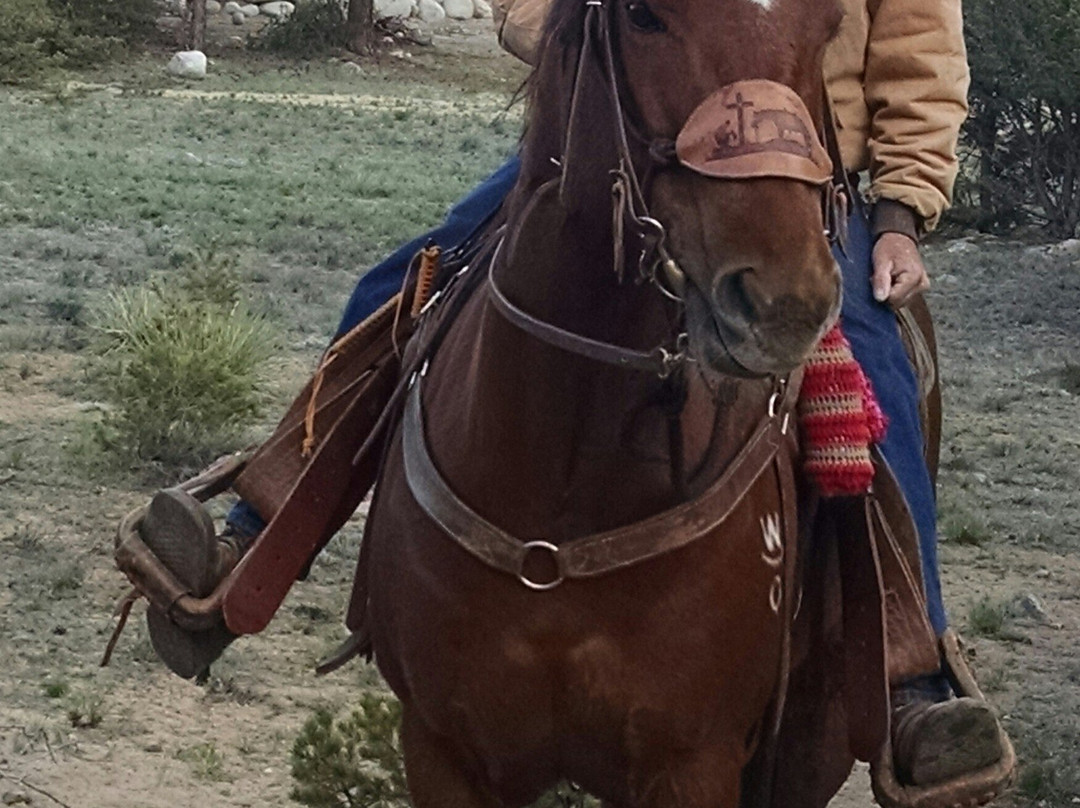 Arkansas Valley Trail Rides-Nathrop必去景点