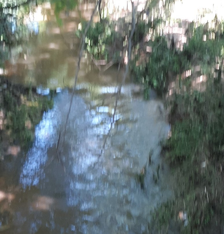 Granbury Hike & Bike Trail-格兰伯里必去景点