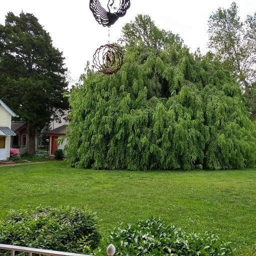 Sandaway Suites & Beach主图