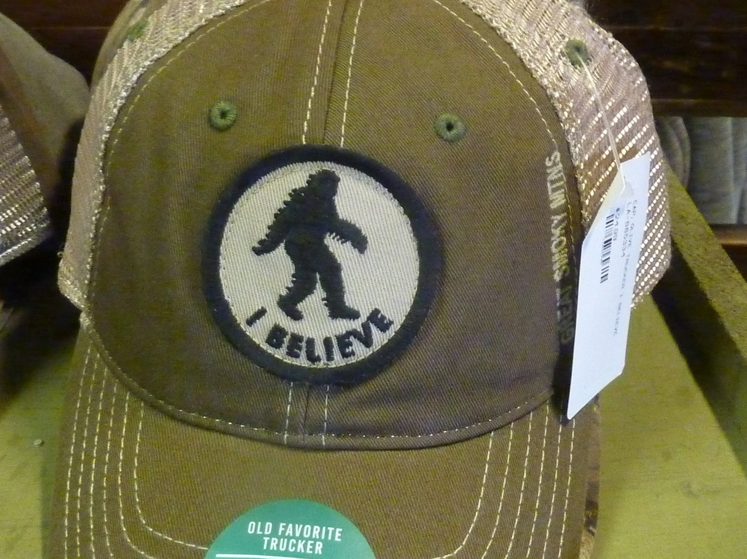 Old Forge Plaza-皮金福奇必去景点