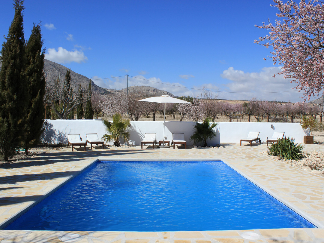Boutique Bed & Breakfast Casa Paco主图
