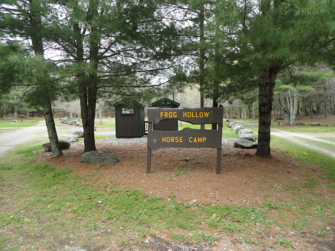 Pachaug State Forest-Voluntown必去景点