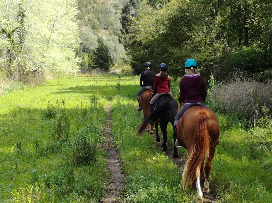 NaturaHorses-Vila Nova de Milfontes必去景点