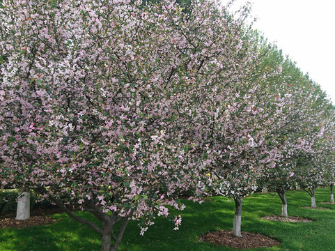 武昌起义纪念馆-武汉市必去景点