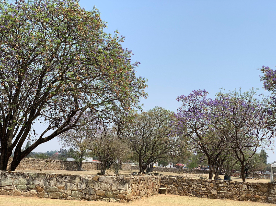 Ex-Convento de Santo Domingo de Yanhuitlán景点图片