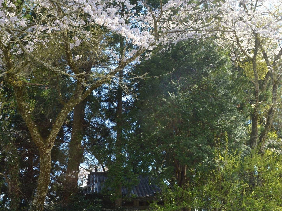 Ume Michi-no-Eki-佐伯市必去景点
