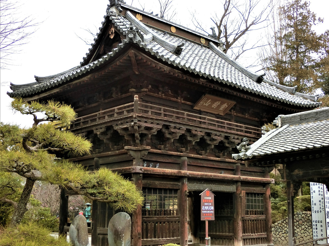 Banna-ji Temple Romon Gate景点图片