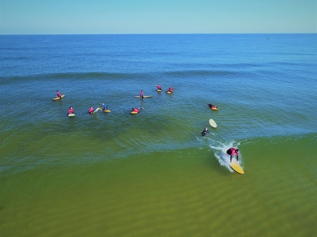 Surftrip景点图片