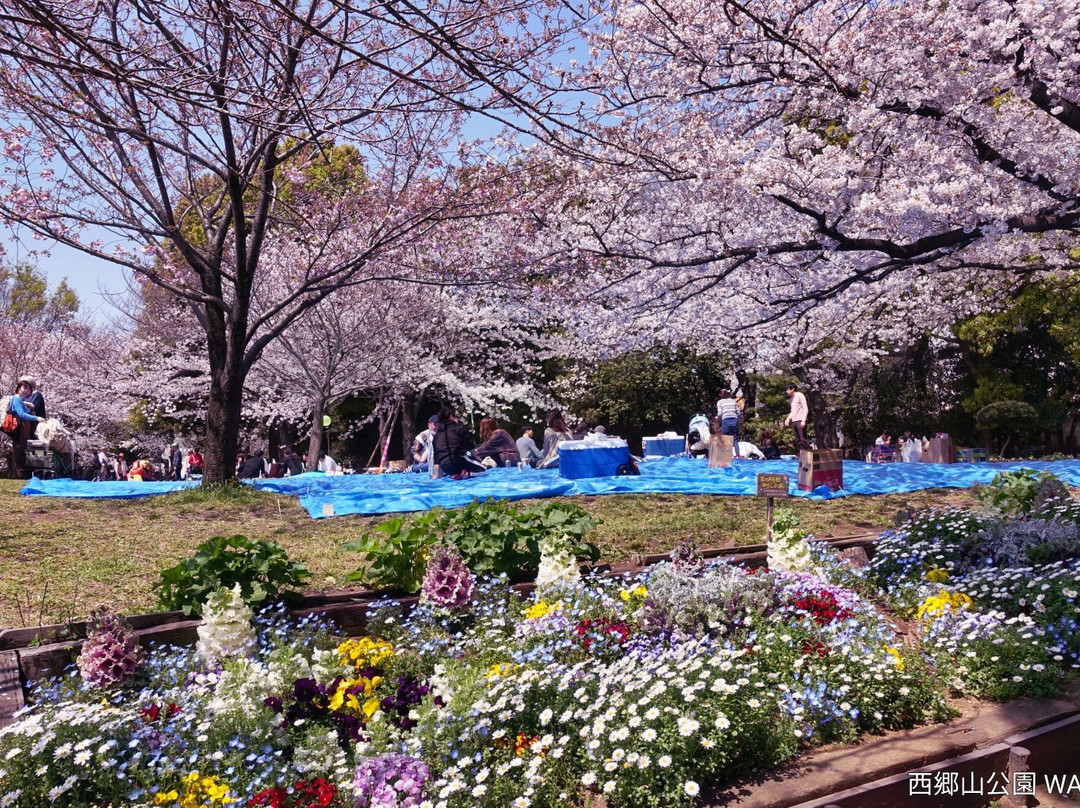 Saigoyama Park-目黒区必去景点