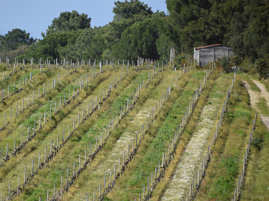 Quinta De Catralvos主图