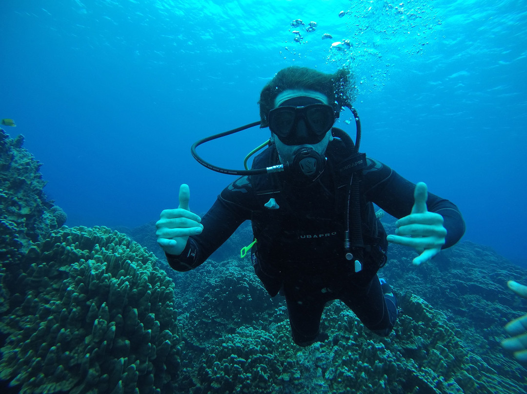 Rapa Nui Dive Center-安加罗阿必去景点