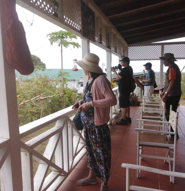 Tour Tobago-克朗波因特必去景点