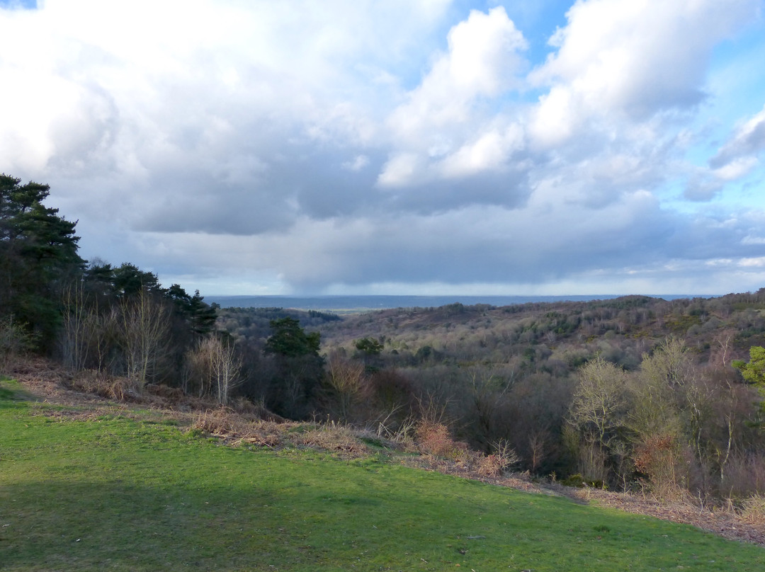 Hindhead Commons and the Devil's Punch Bowl景点图片