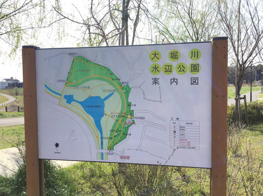 Ohorigawa Mizube Park-流山市必去景点