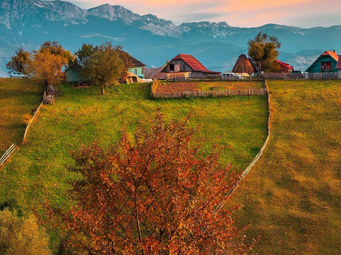 Vodstroy餐馆和美食-Astoria