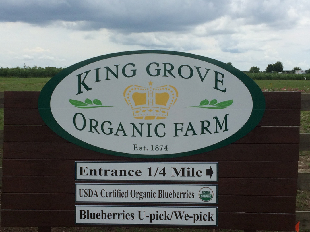 King Grove Organic Farm-Eustis必去景点