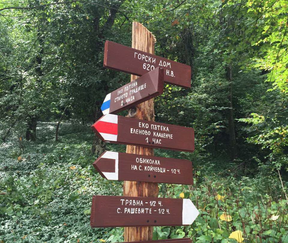 The Forest House主图