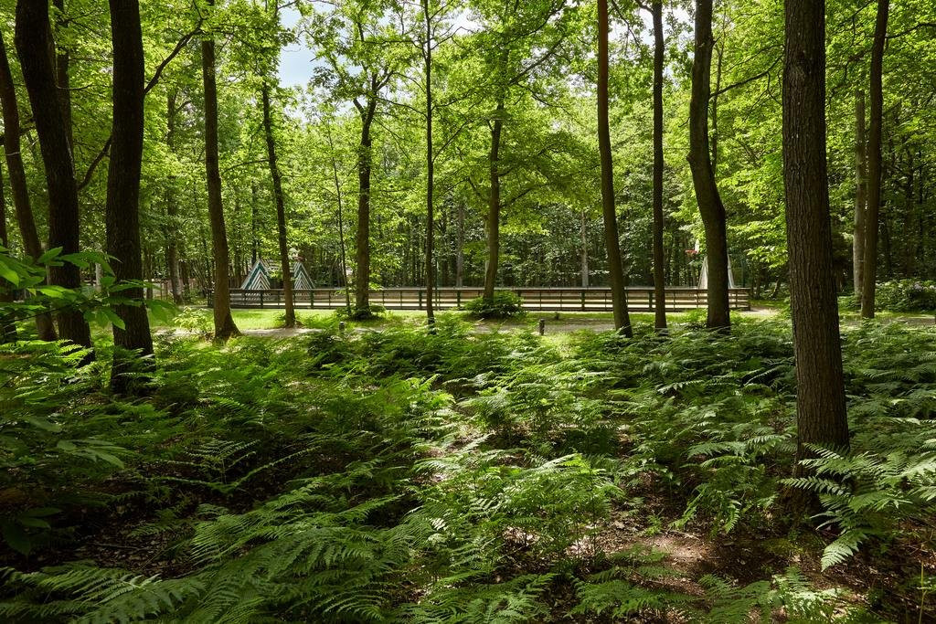 Centre Port Royal主图